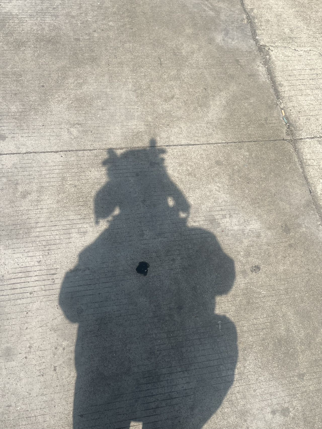 丛丛相亲交友平台