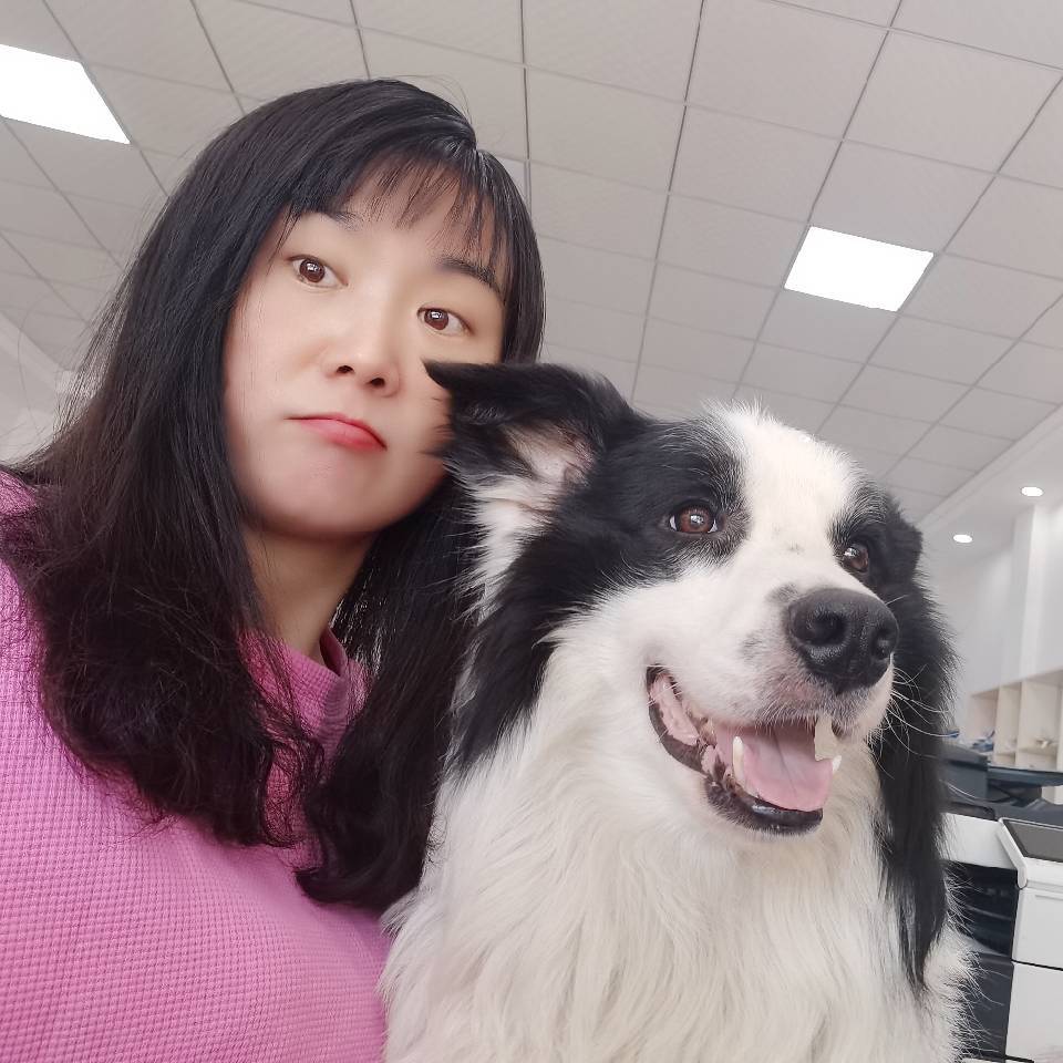 丛丛相亲交友平台