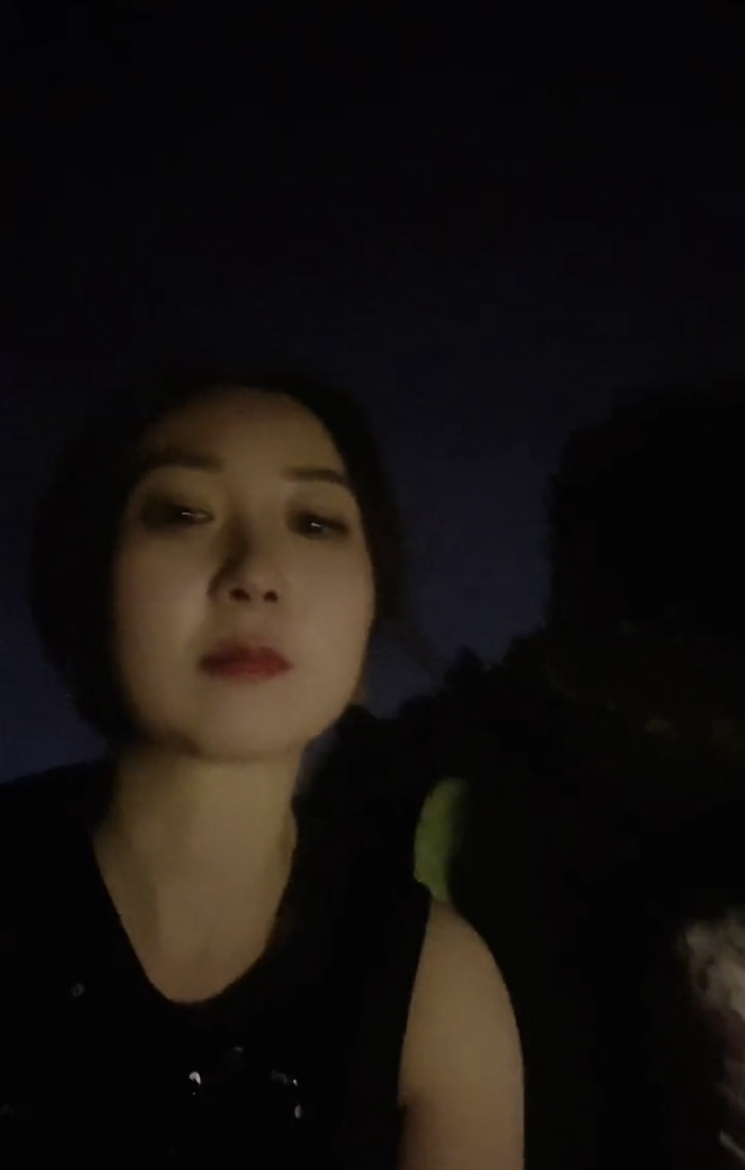 丛丛相亲交友平台