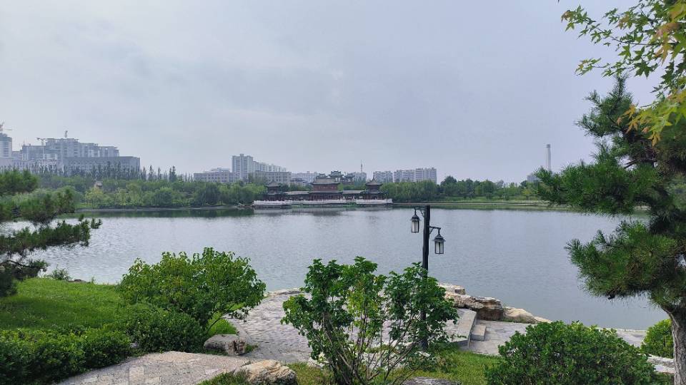 丛丛相亲交友平台