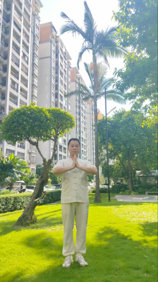 丛丛相亲交友平台
