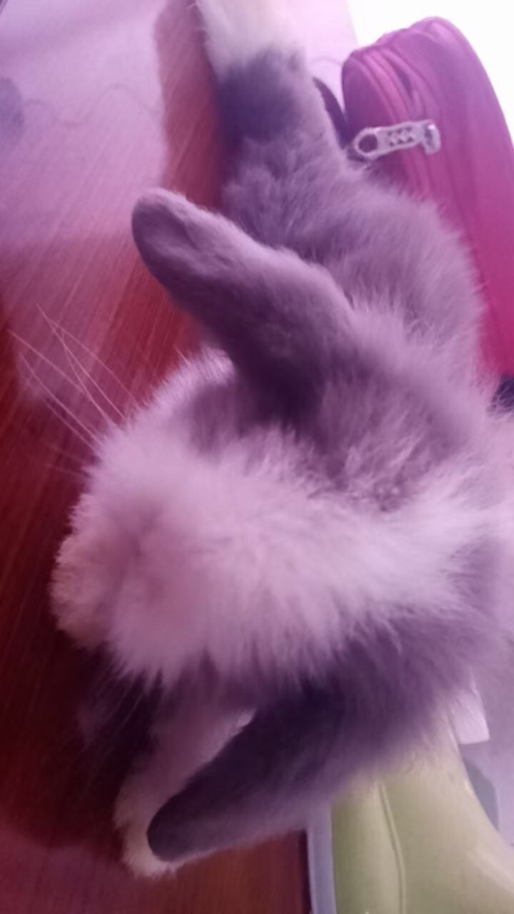 找搭子