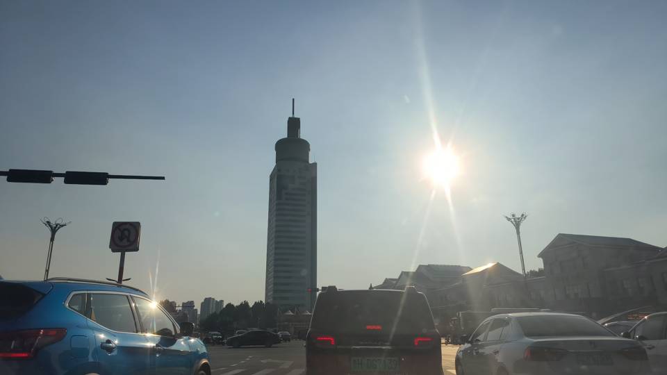 丛丛相亲交友平台