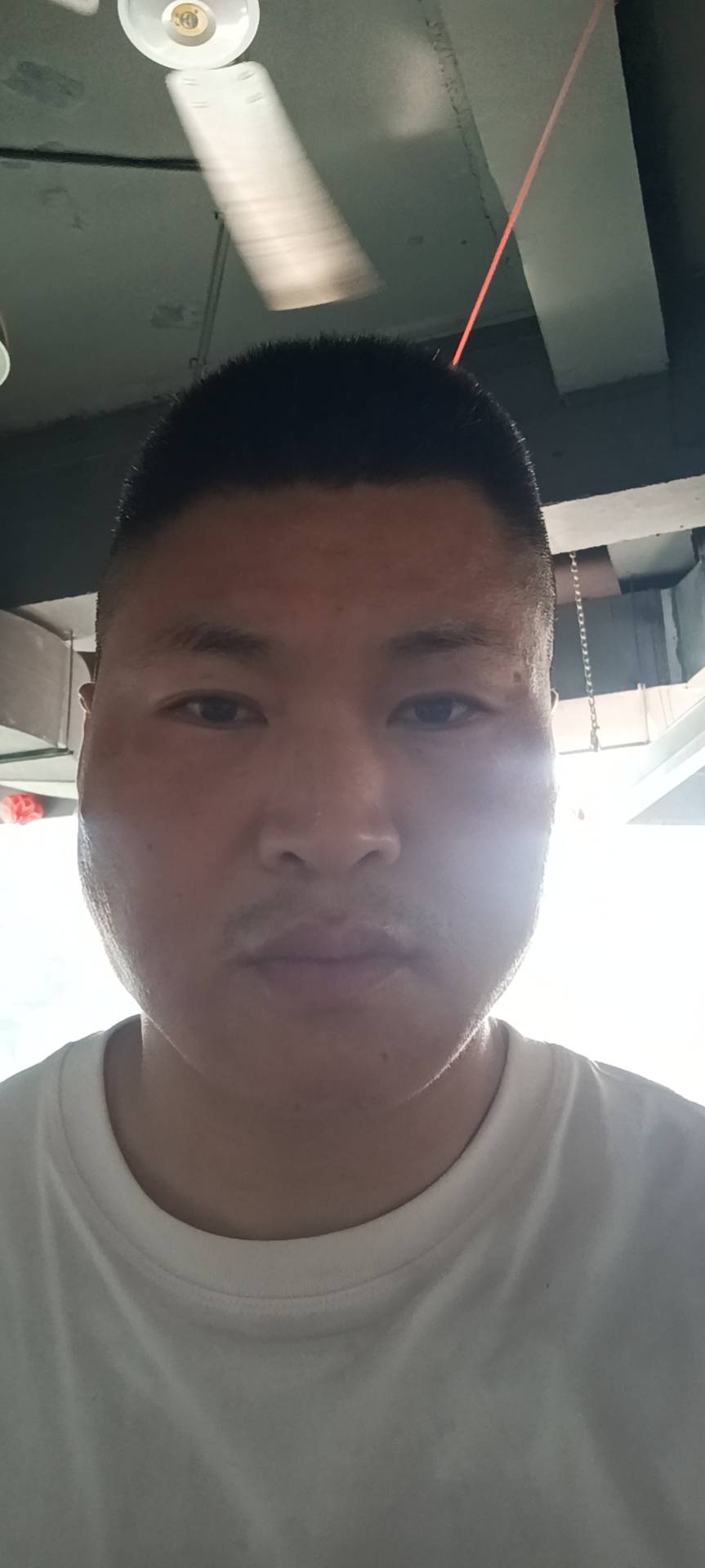 丛丛相亲交友平台