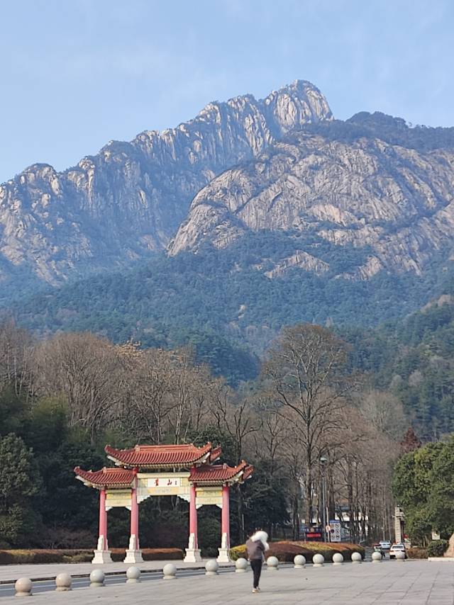 丛丛相亲交友平台