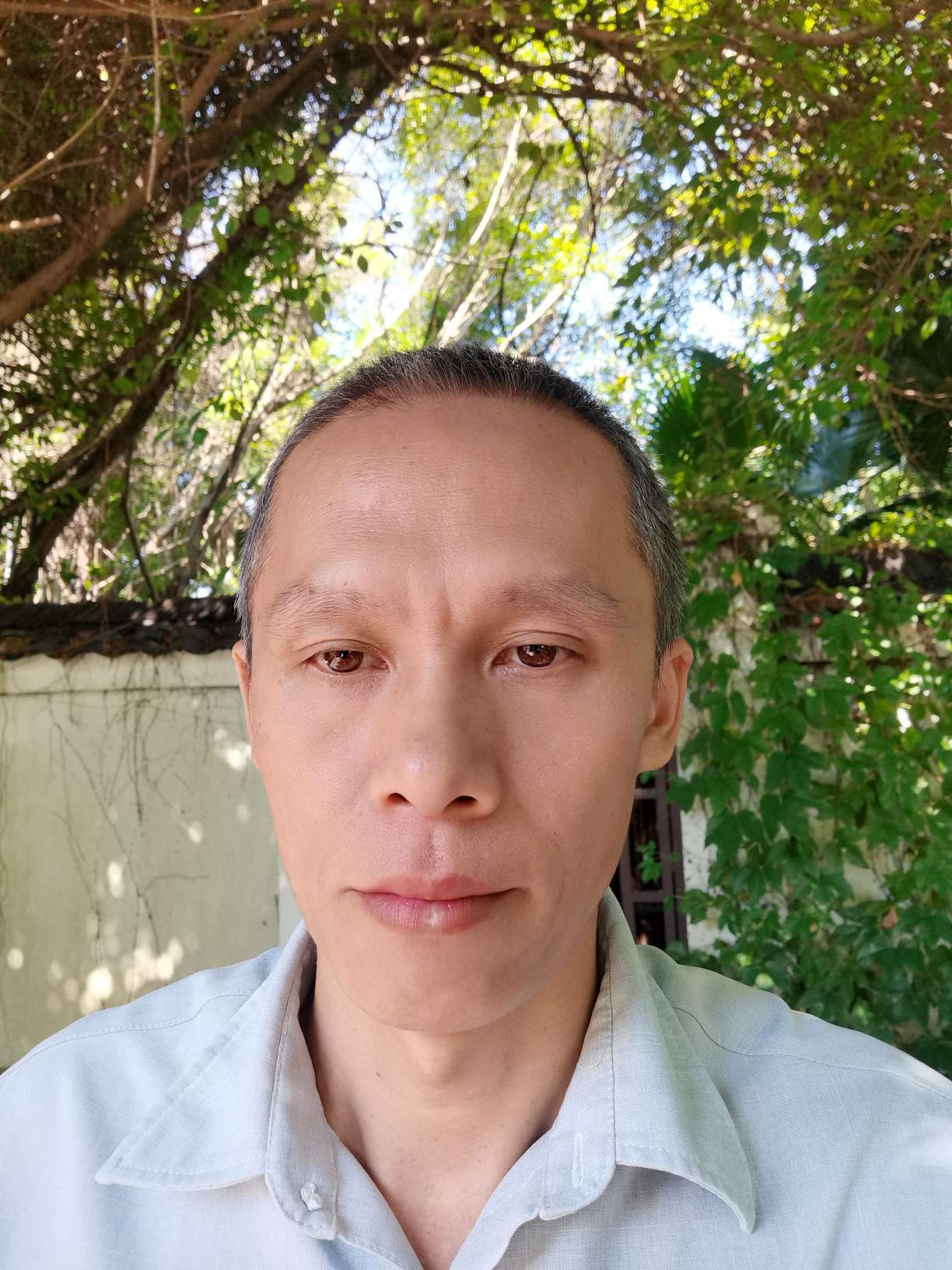 丛丛相亲交友平台