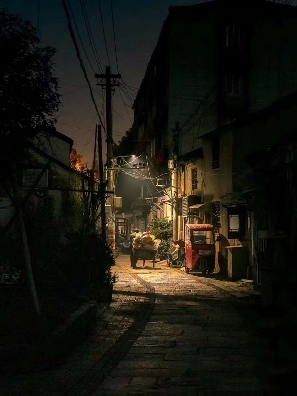 丛丛相亲交友平台