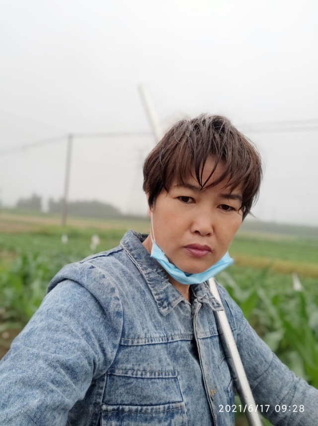 丛丛相亲交友平台
