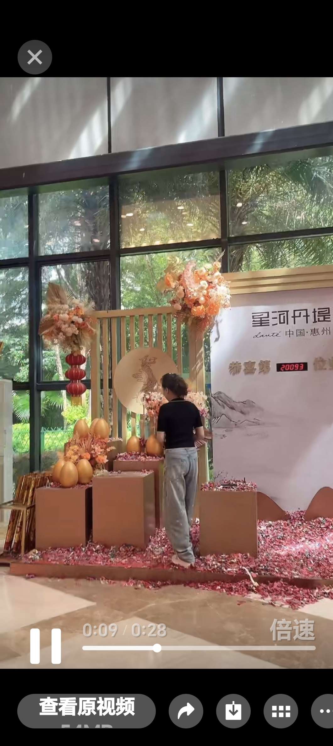 丛丛相亲交友平台