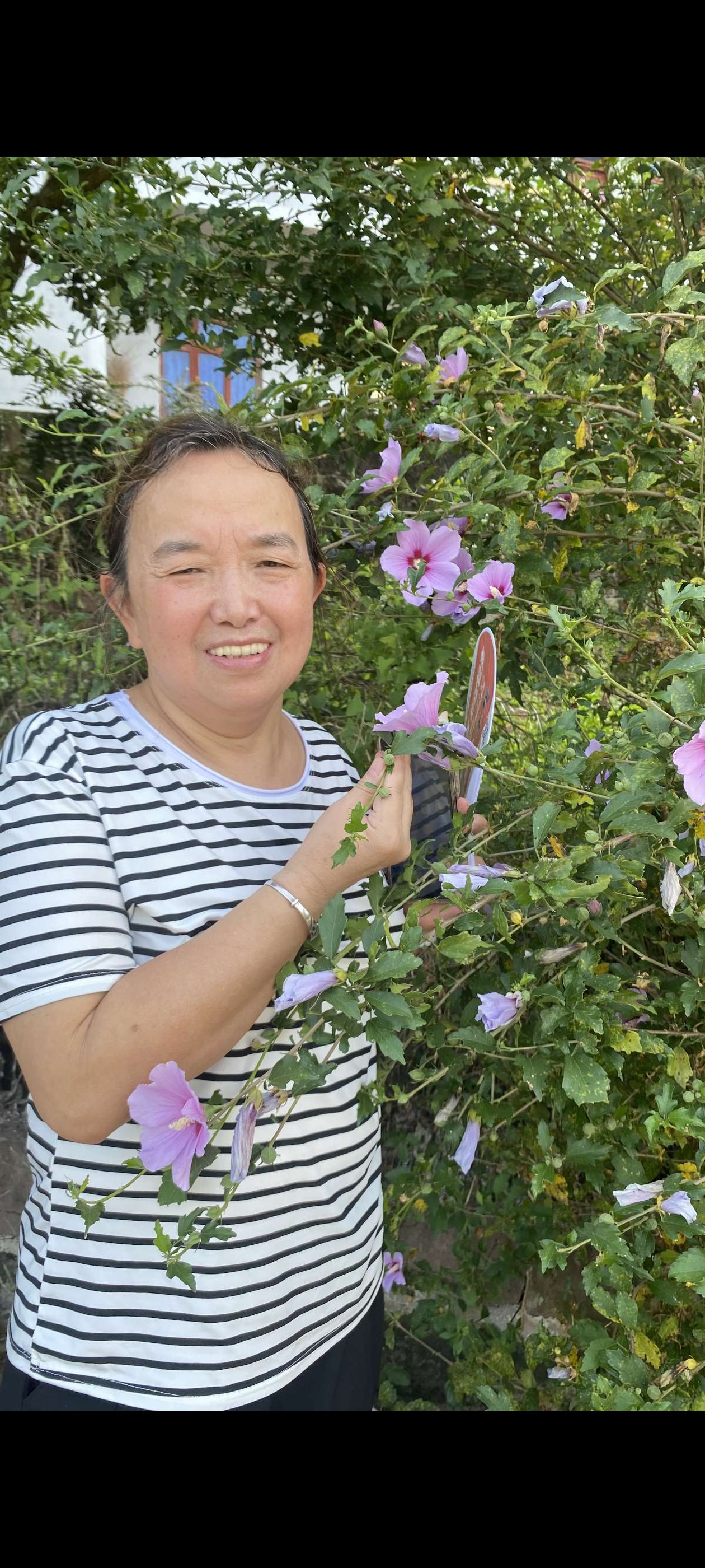 丛丛相亲交友平台