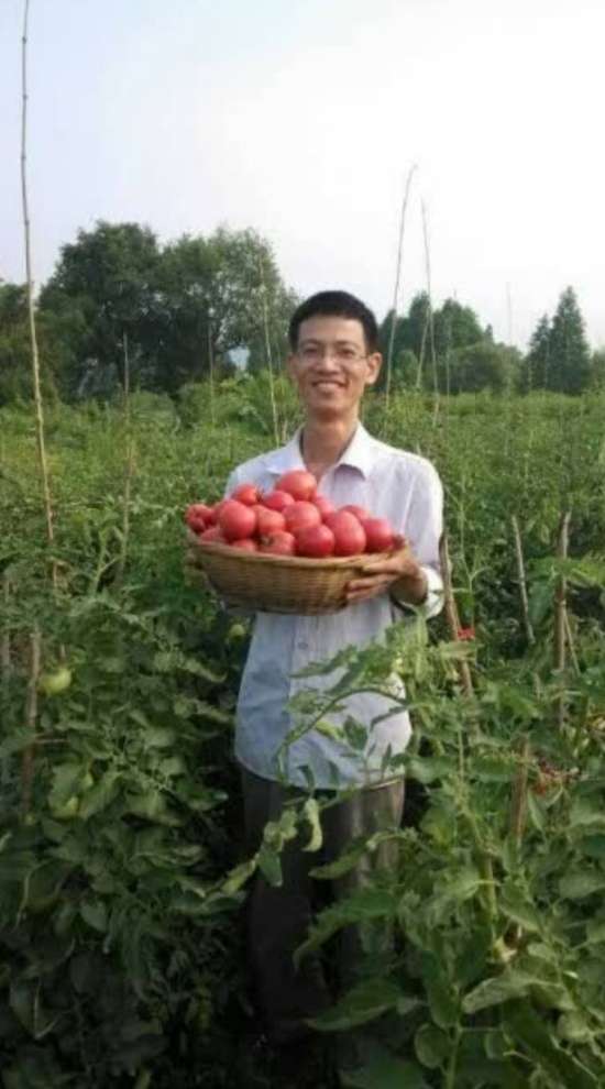 丛丛相亲交友平台