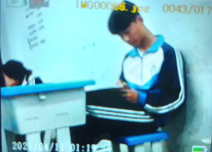 丛丛相亲交友平台