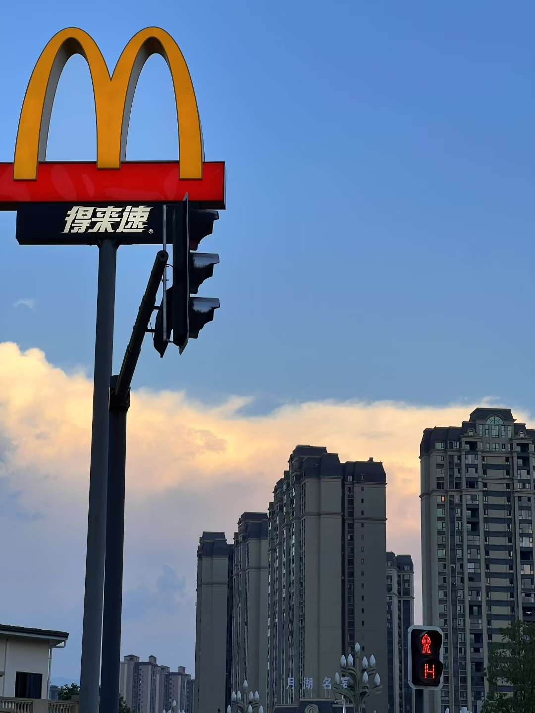 丛丛相亲交友平台