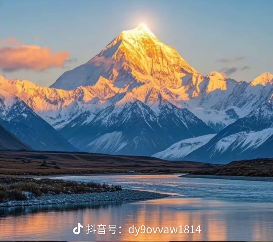丛丛相亲交友平台