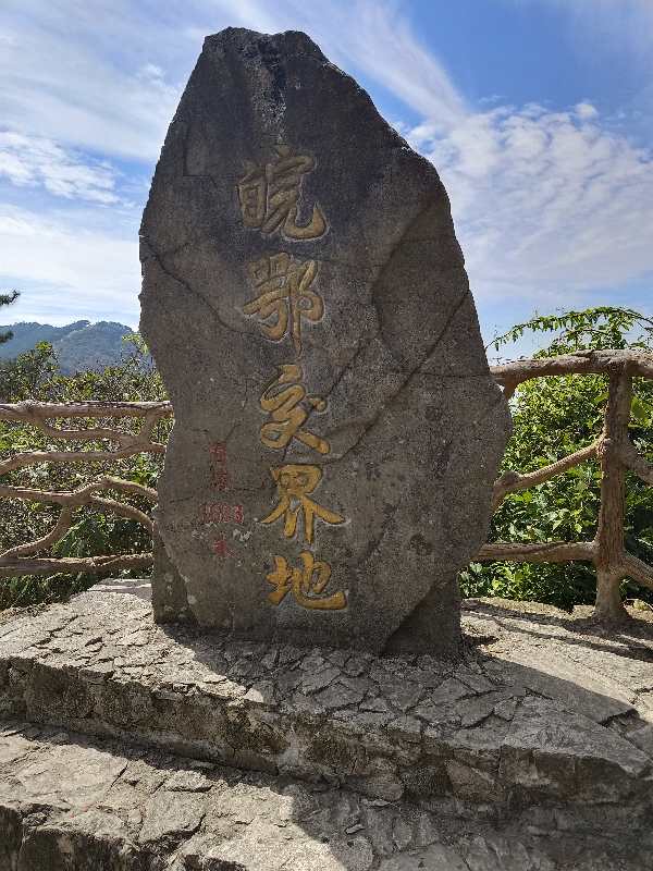 丛丛相亲交友平台