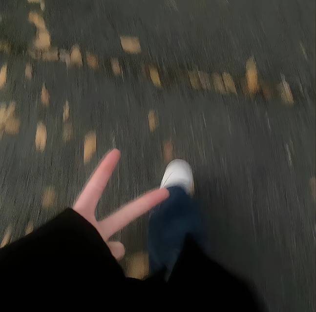 丛丛相亲交友平台