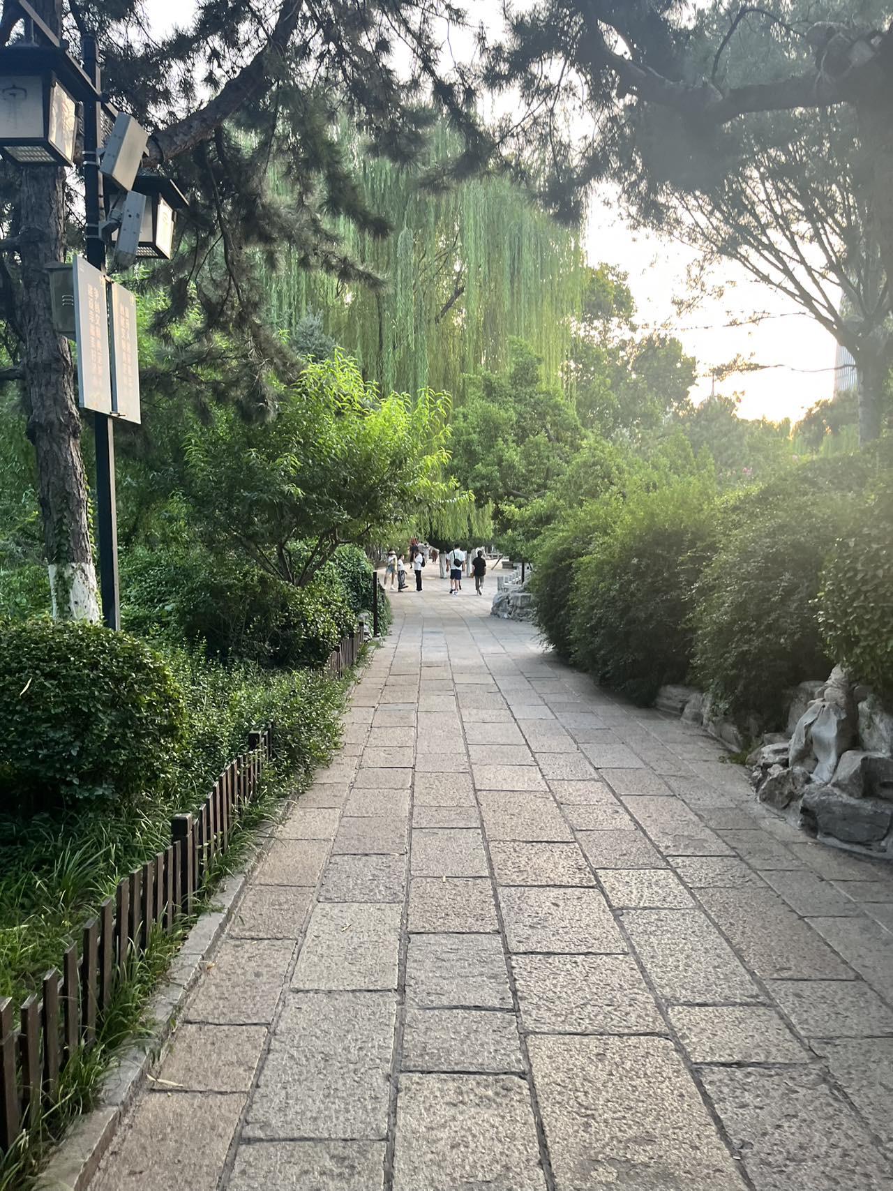丛丛相亲交友平台