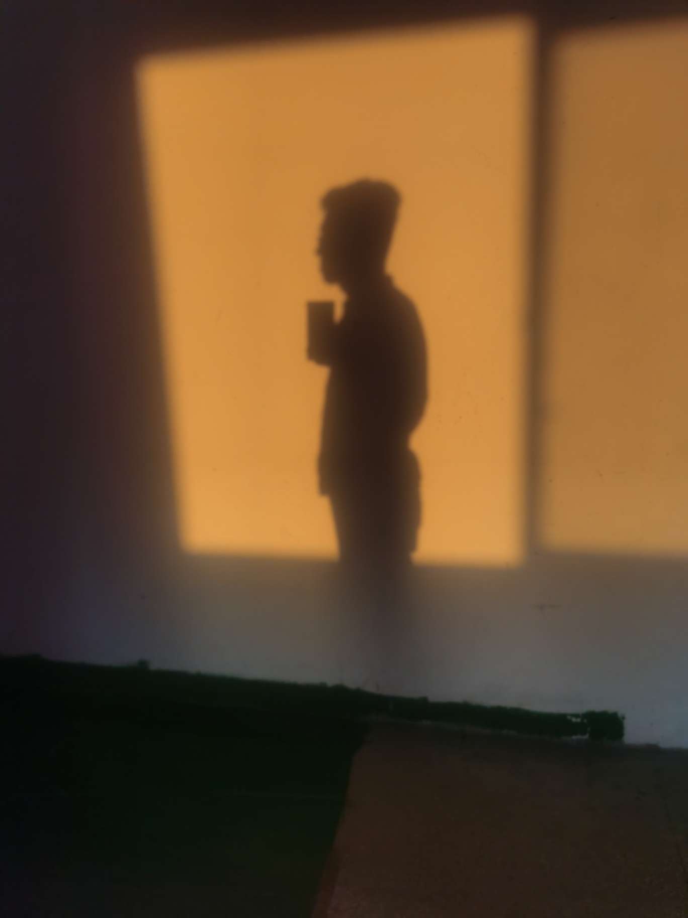 丛丛相亲交友平台