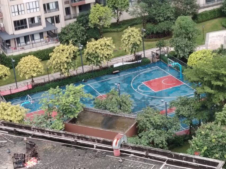 丛丛相亲交友平台