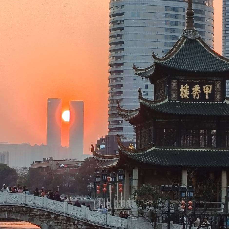 丛丛相亲交友平台