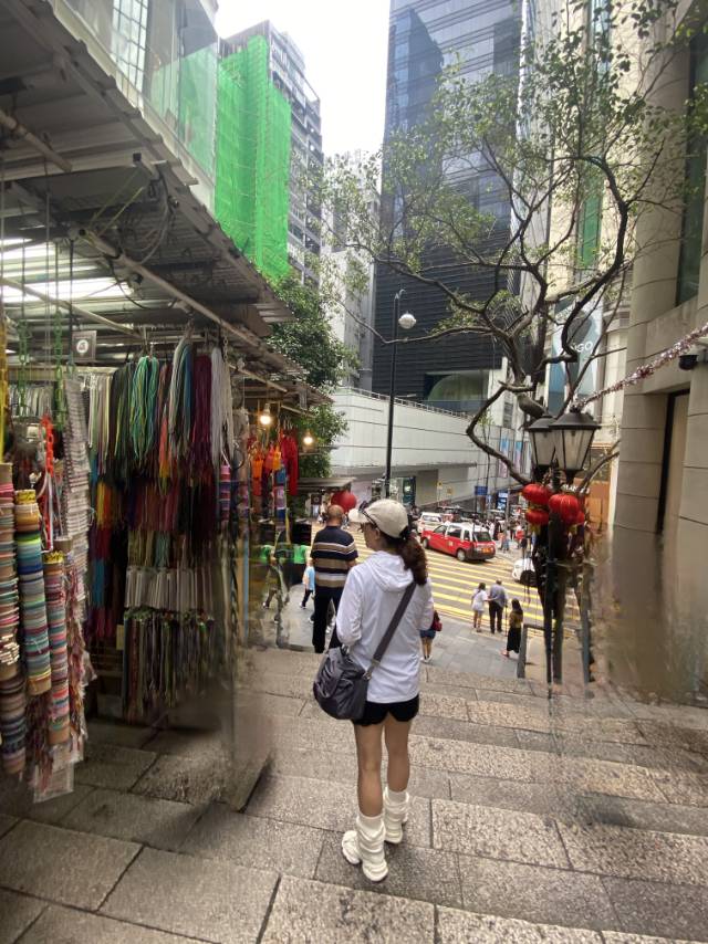 丛丛相亲交友平台