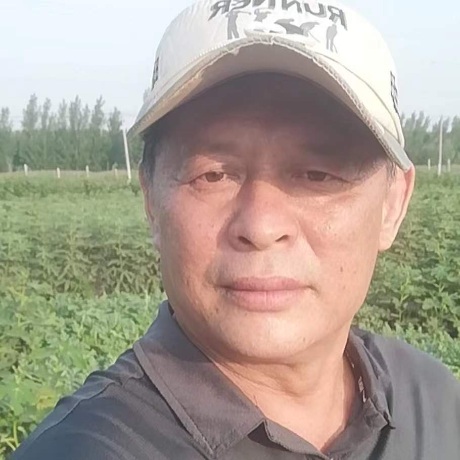 丛丛相亲交友平台