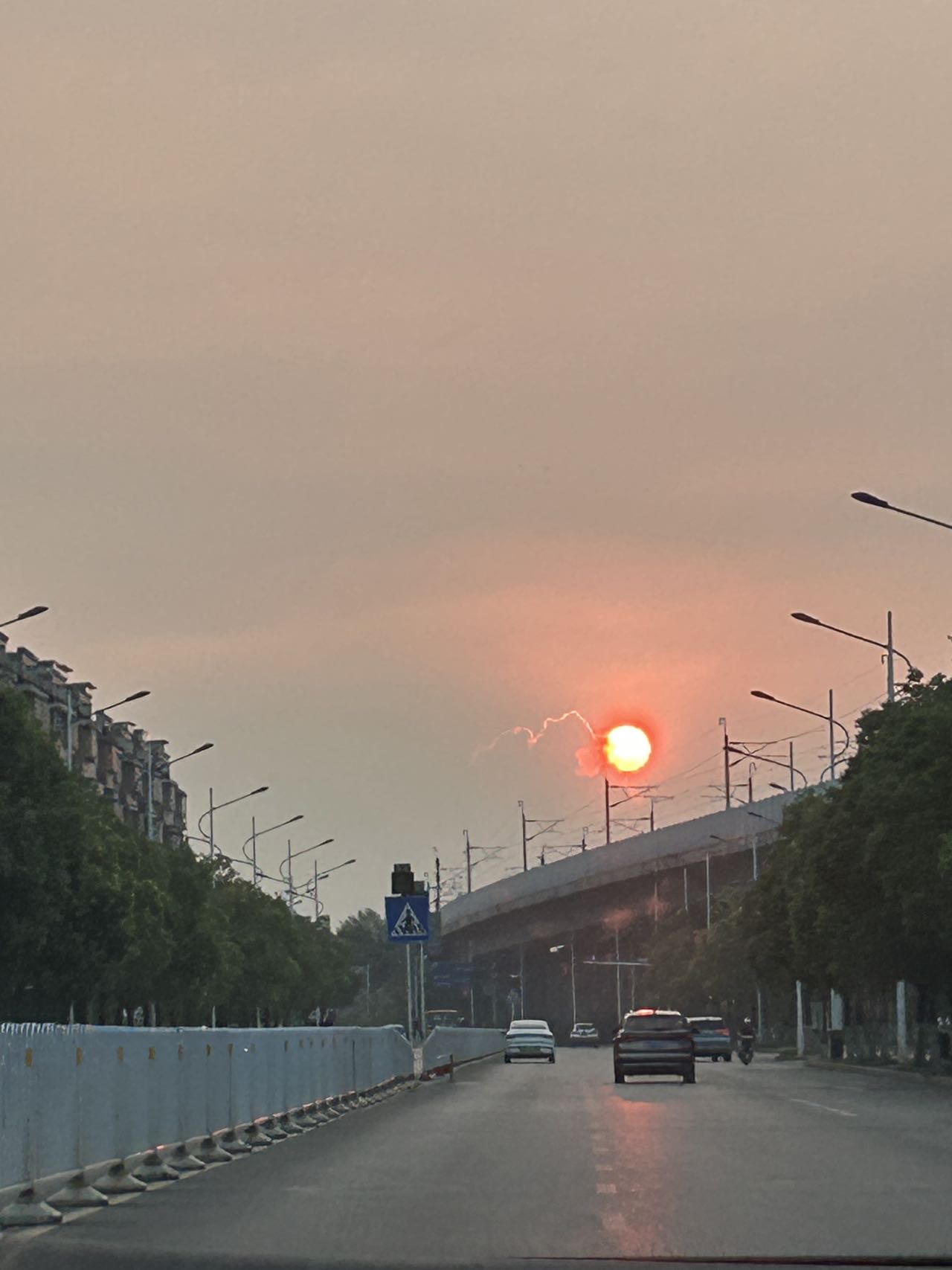 丛丛相亲交友平台