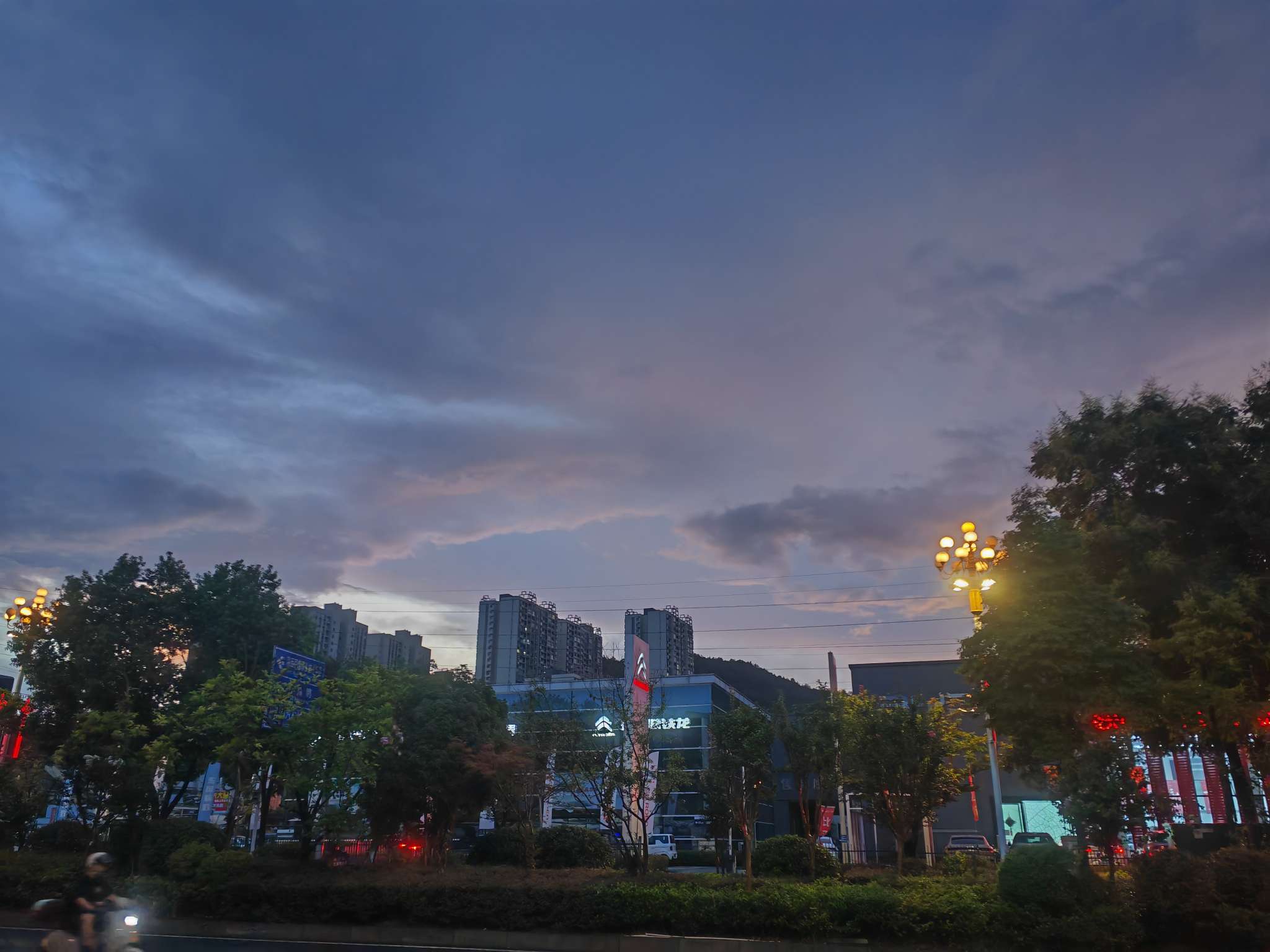 丛丛相亲交友平台
