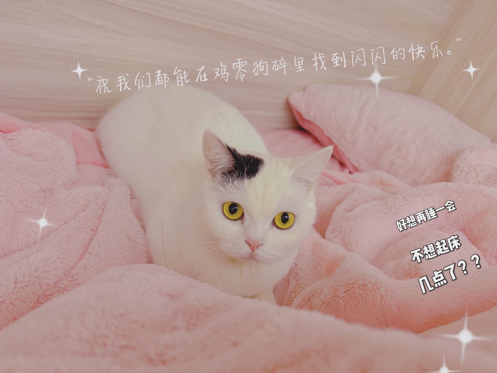 找搭子