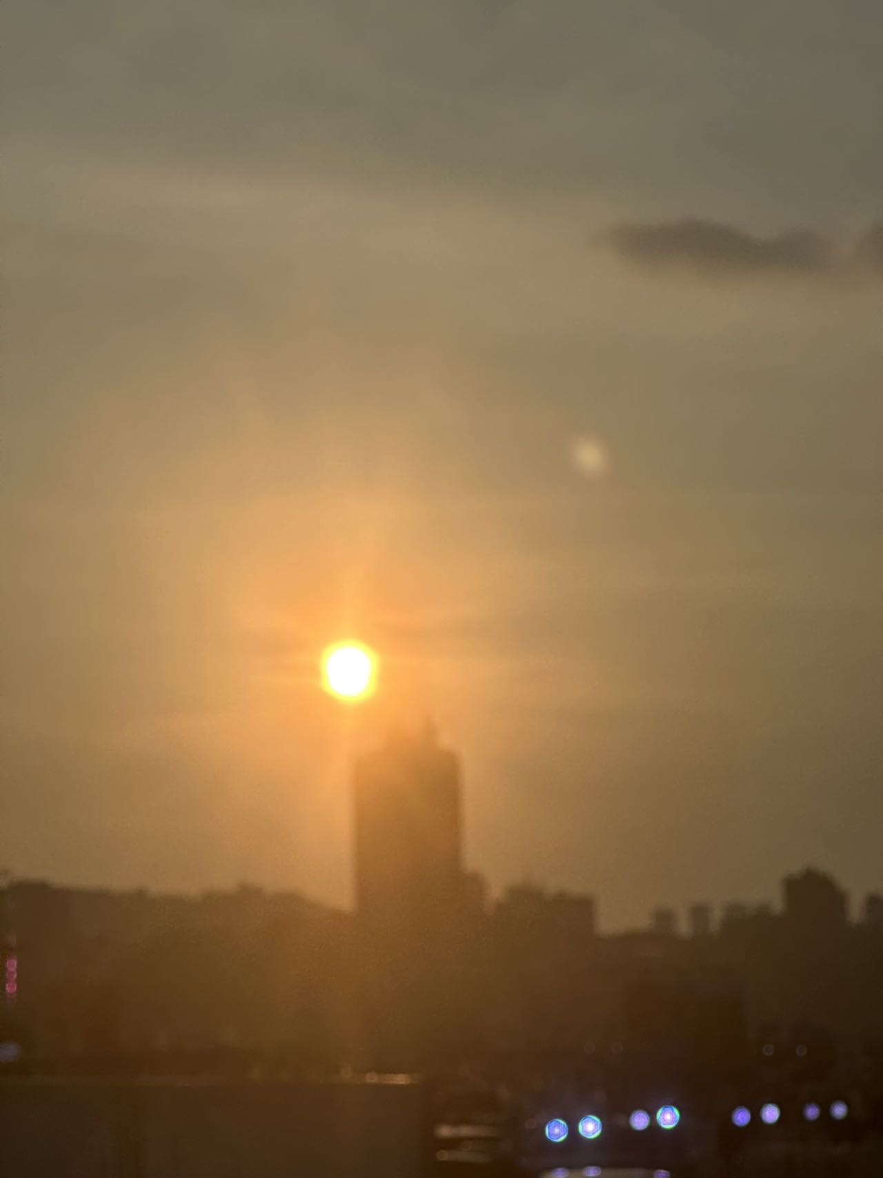 丛丛相亲交友平台