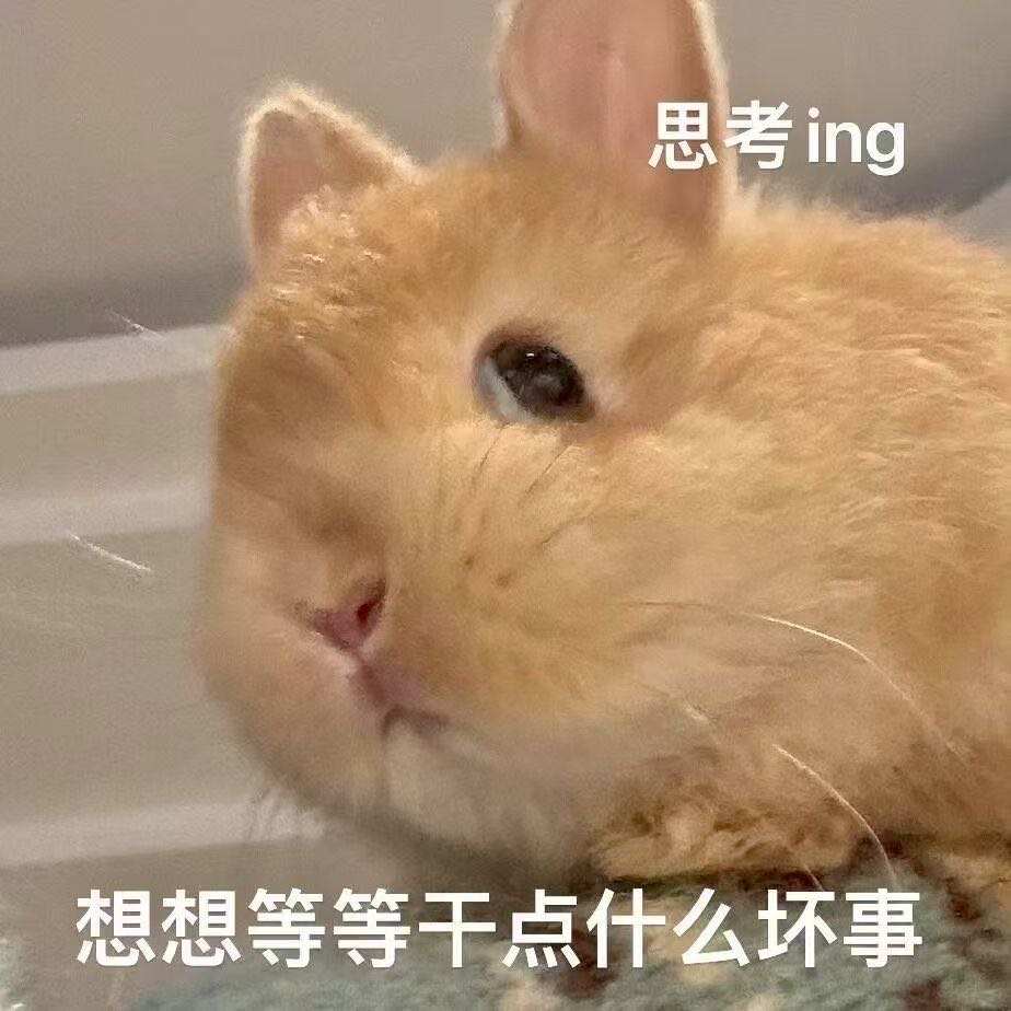 丛丛相亲交友平台