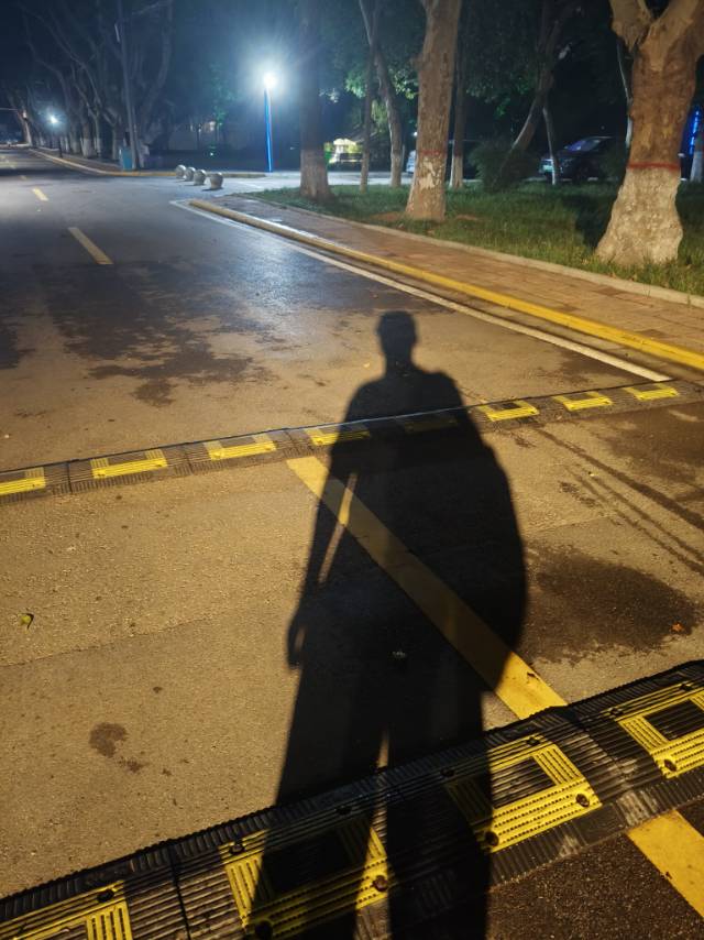 丛丛相亲交友平台
