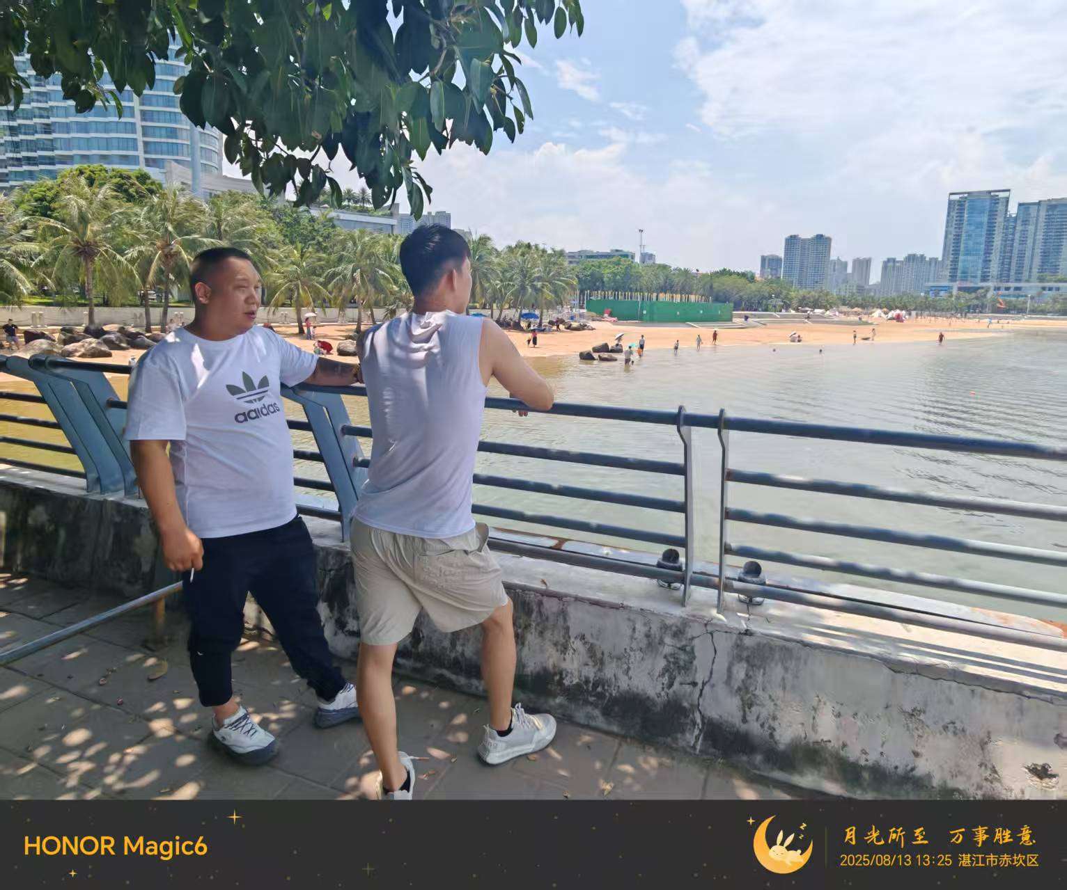 丛丛相亲交友平台