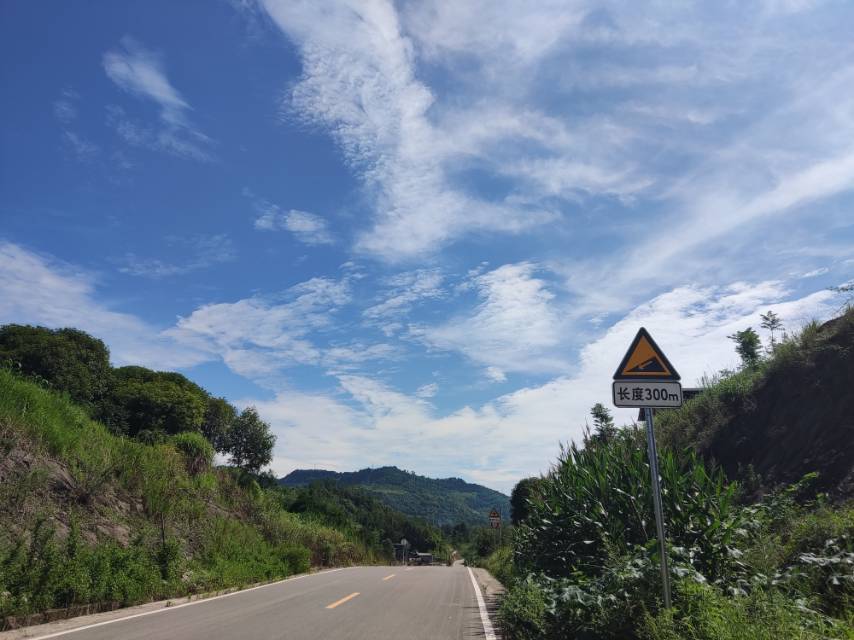 丛丛相亲交友平台
