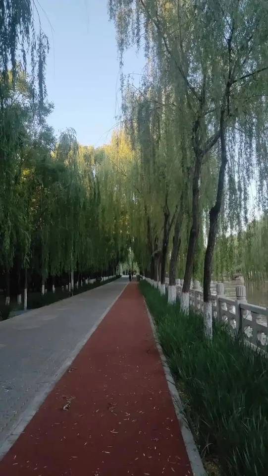 丛丛相亲交友平台