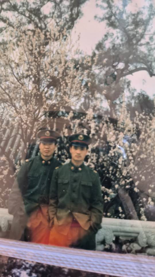 丛丛相亲交友平台