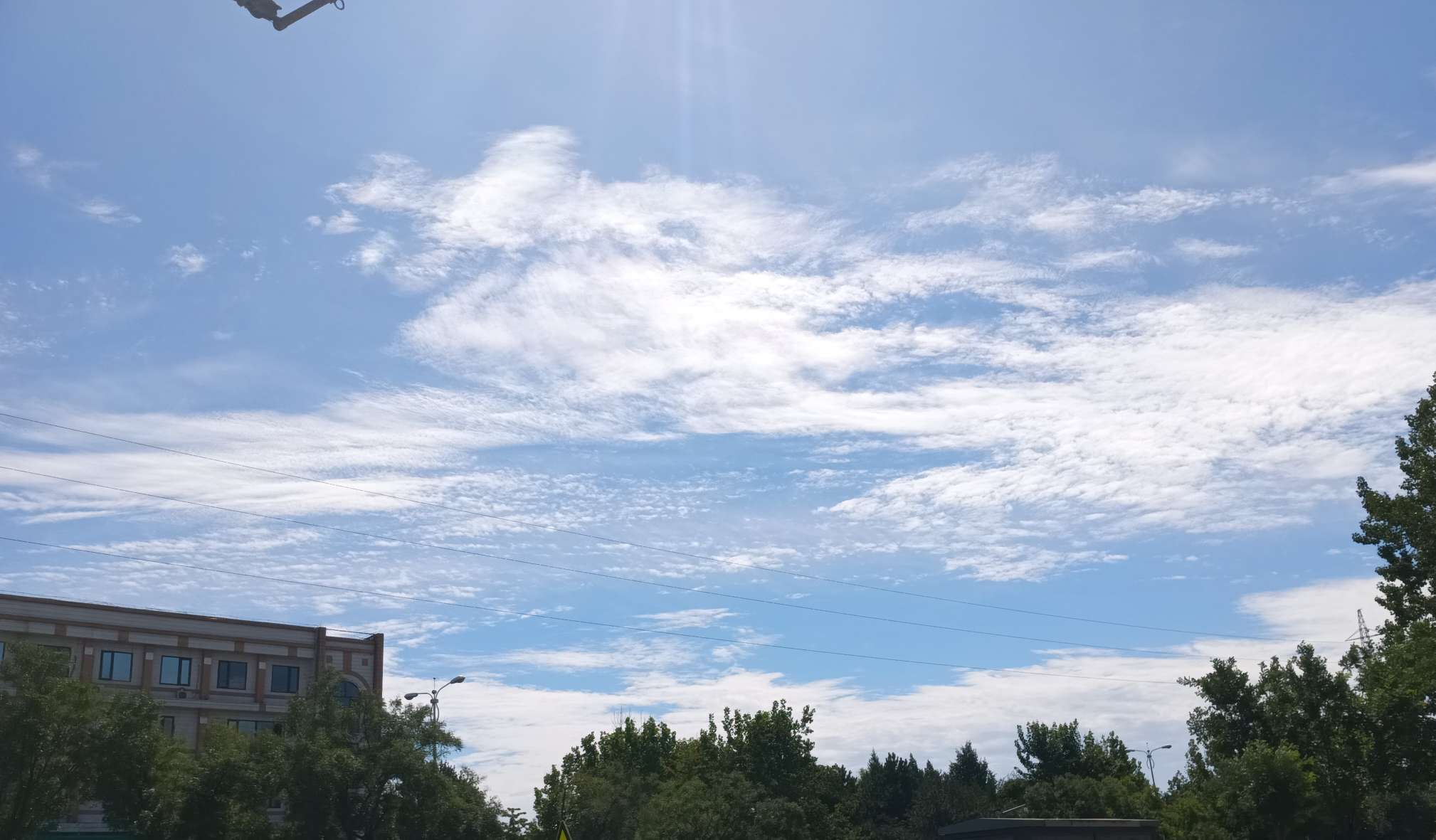 丛丛相亲交友平台