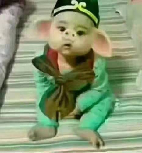 找搭子