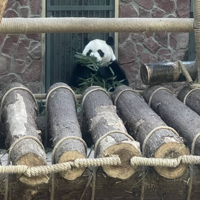 找搭子