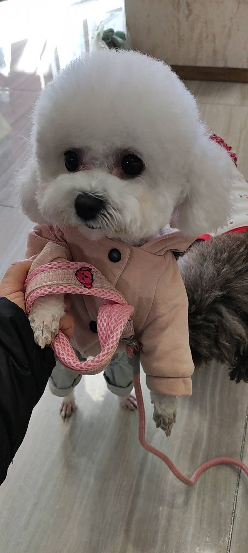 找搭子
