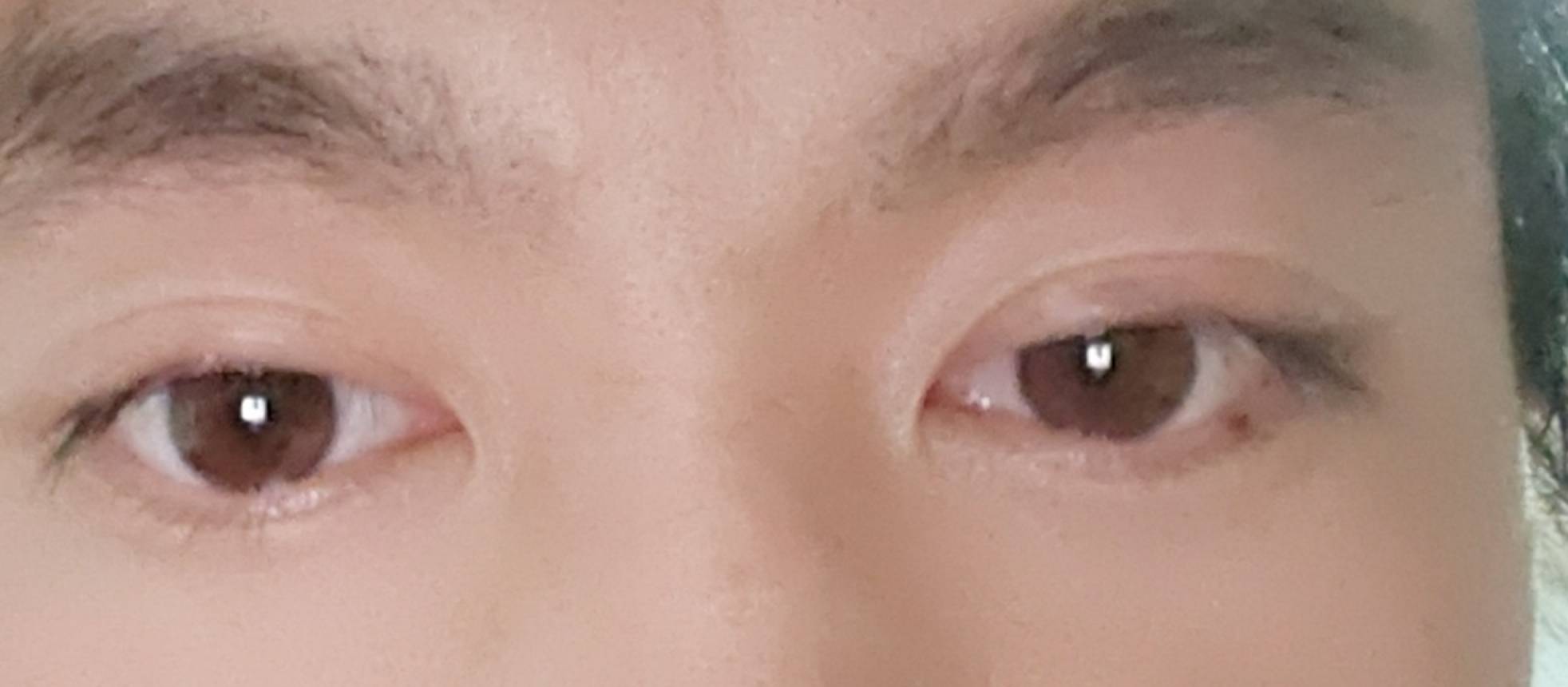 找搭子