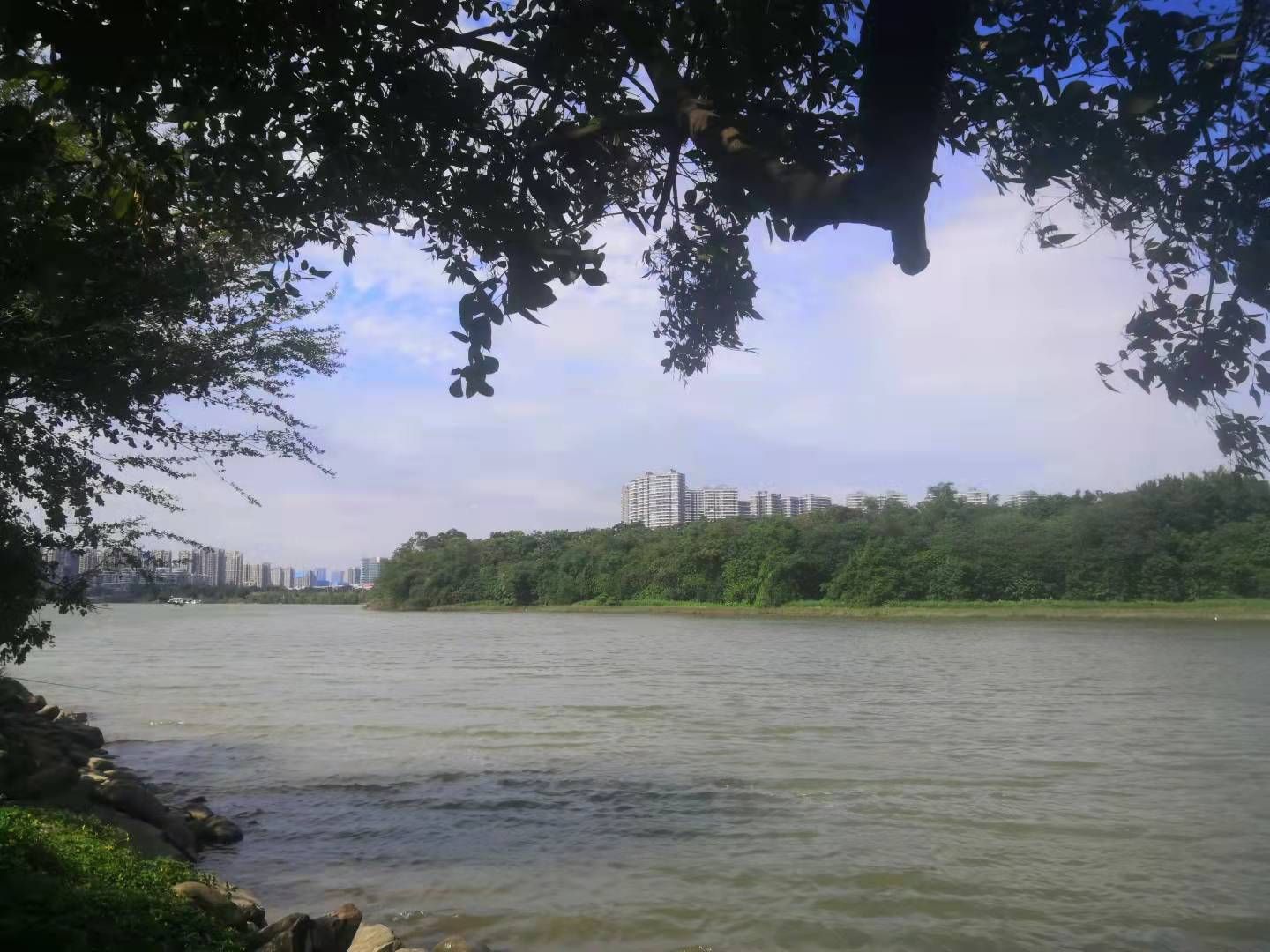 找搭子