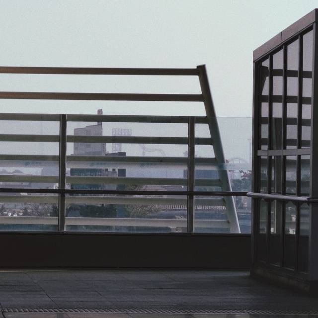 找搭子