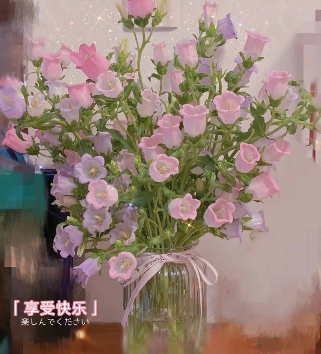 找搭子