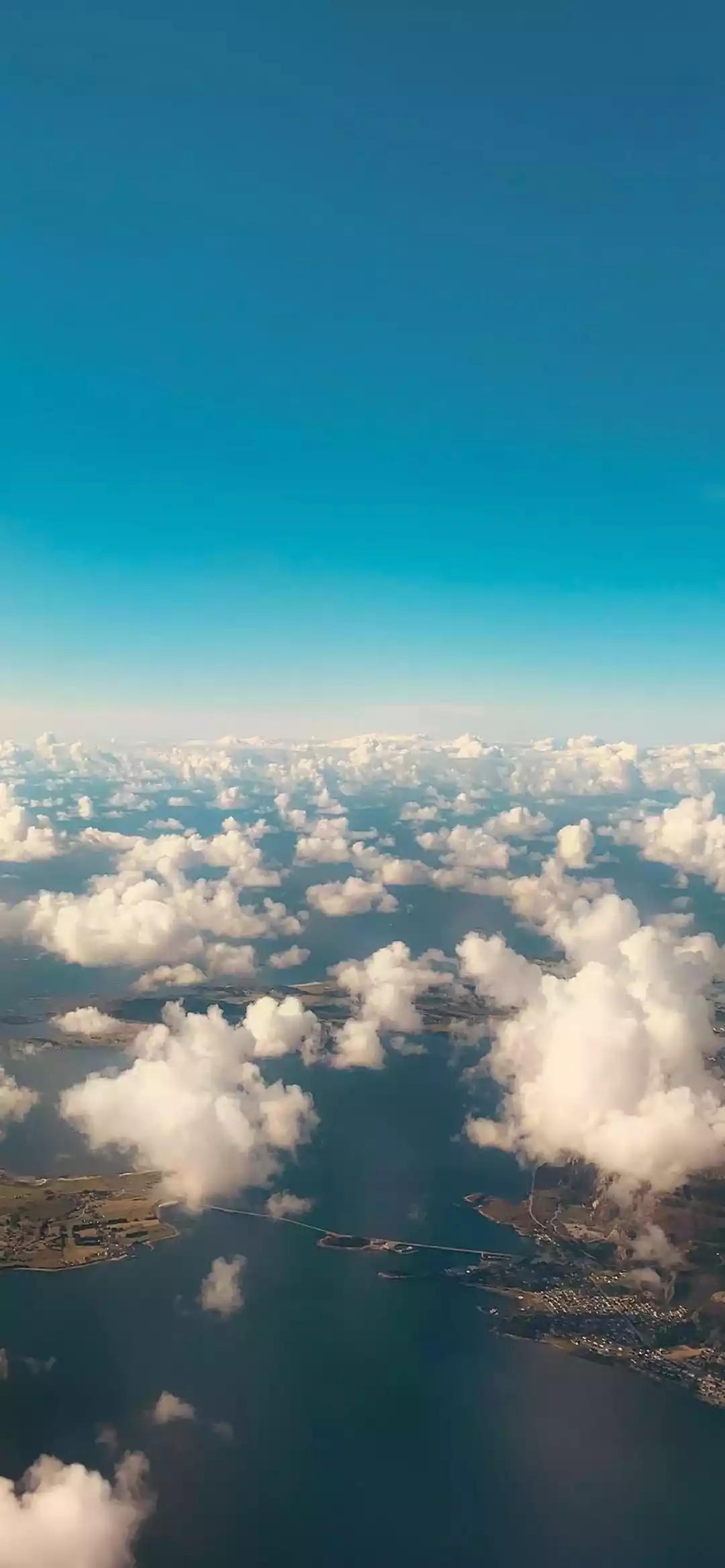找搭子