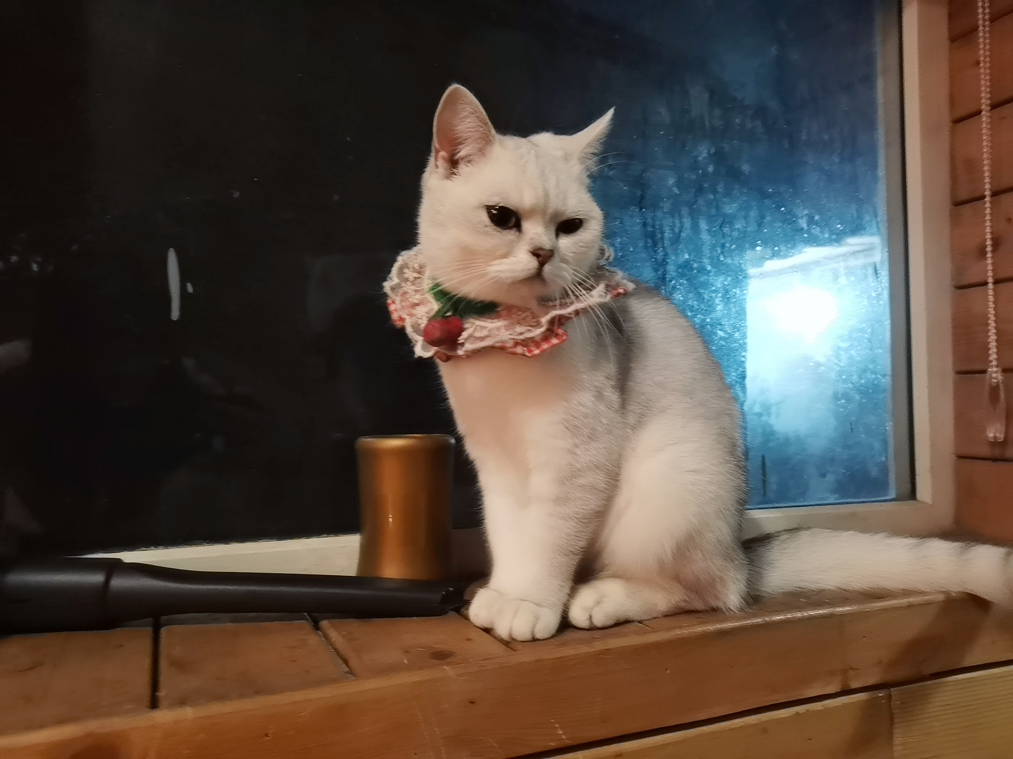找搭子