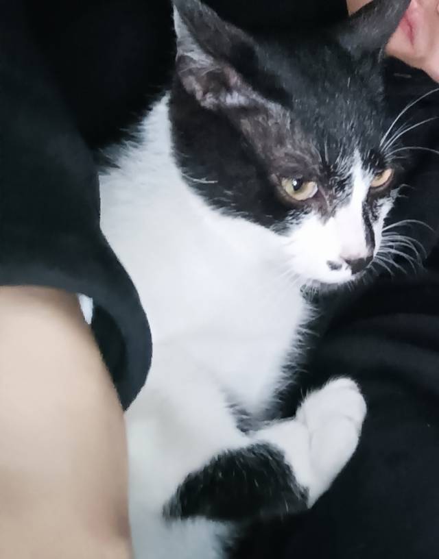 找搭子