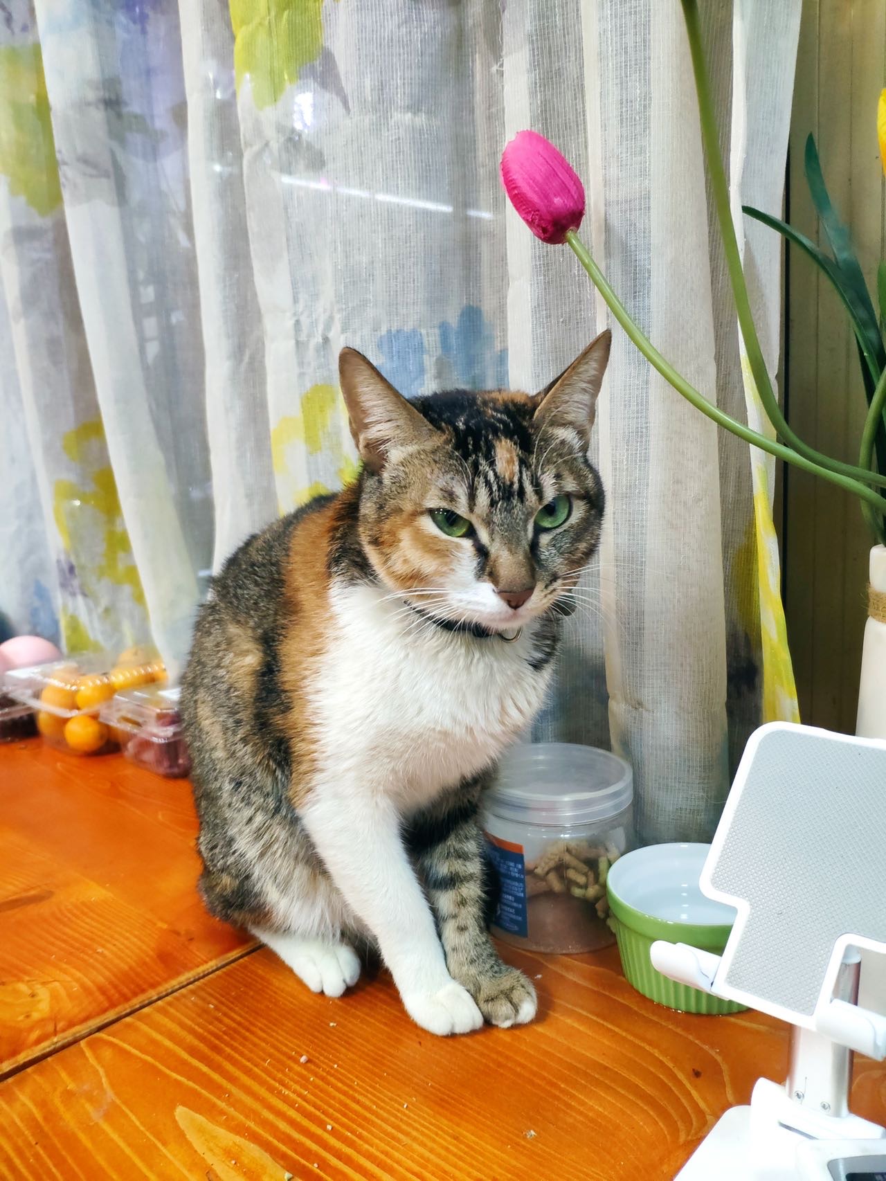 找搭子