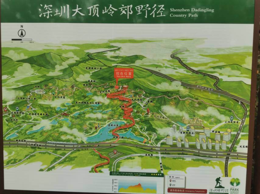 找搭子
