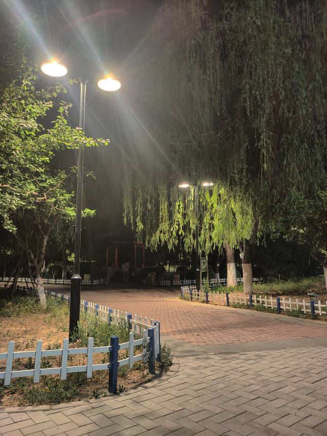 找搭子